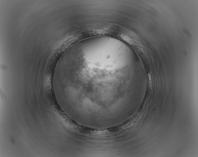 X0000090930410200708061607