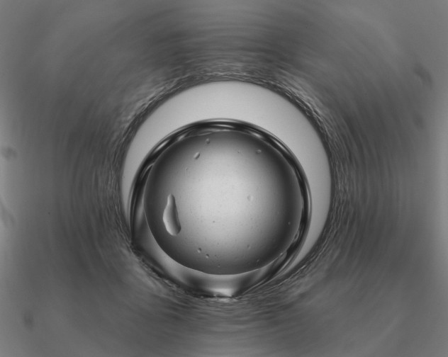 X0000090930411200708061607