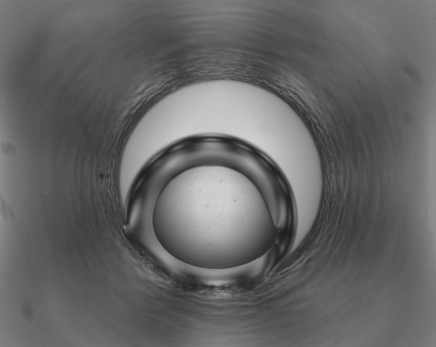 X0000090930412200708061607