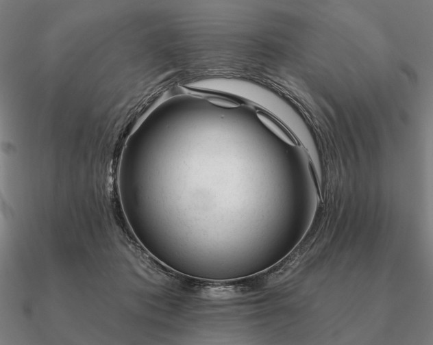 X0000090930413200708061607