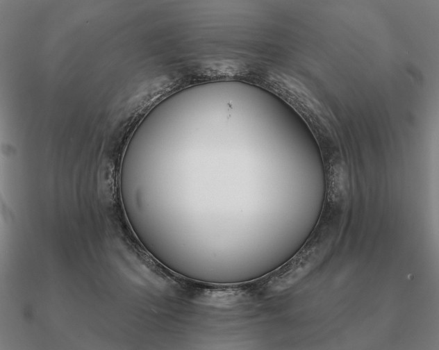 X0000090930414200708061607