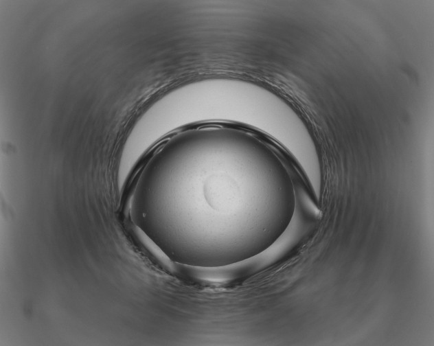 X0000090930415200708061607