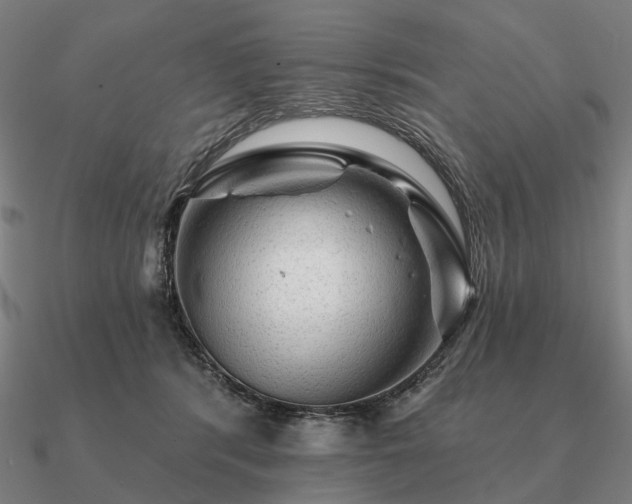 X0000090930416200708061607