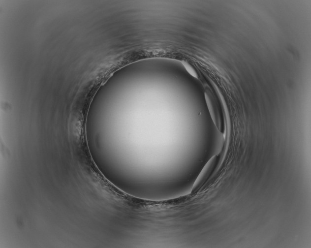 X0000090930417200708061607