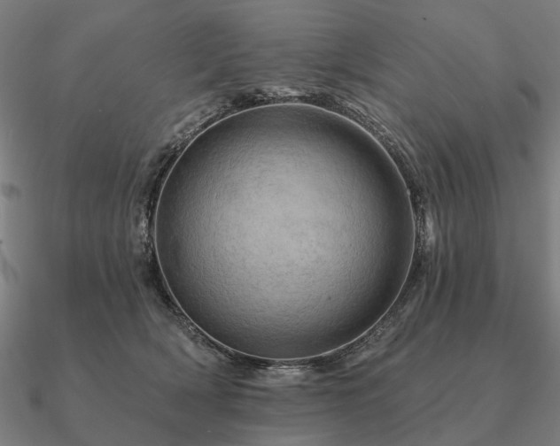 X0000090930418200708061607