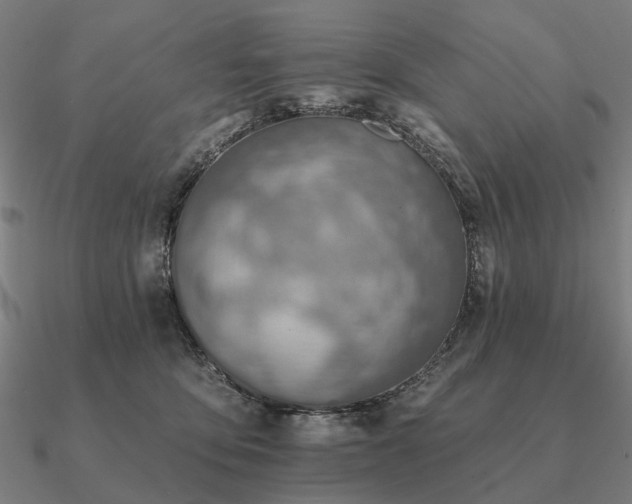 X0000090930419200708061607