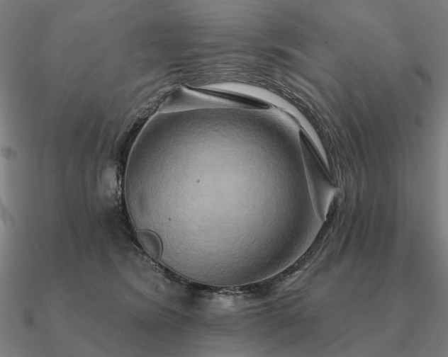 X0000090930420200708061606