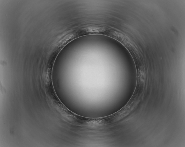 X0000090930422200708061606