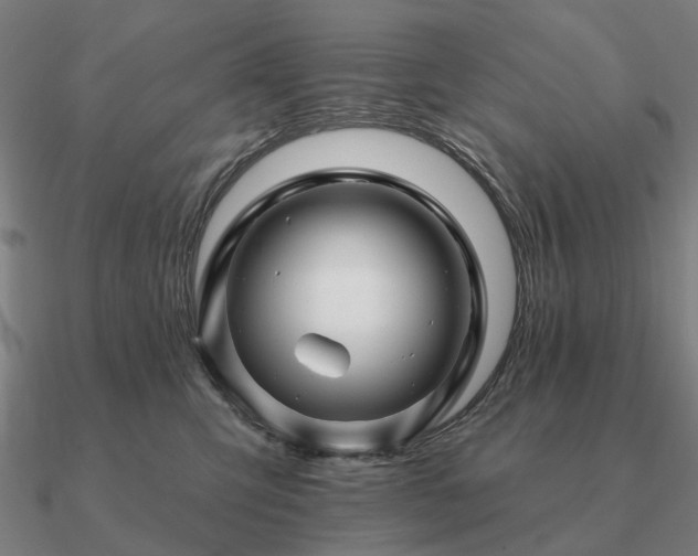 X0000090930423200708061606