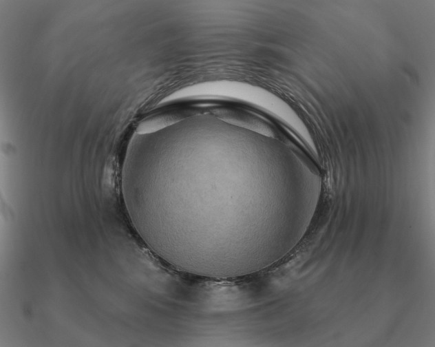 X0000090930424200708061606