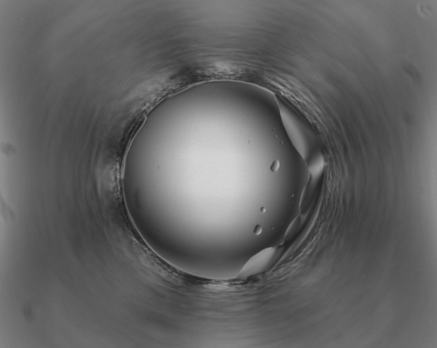 X0000090930425200708061606