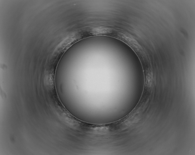 X0000090930426200708061606