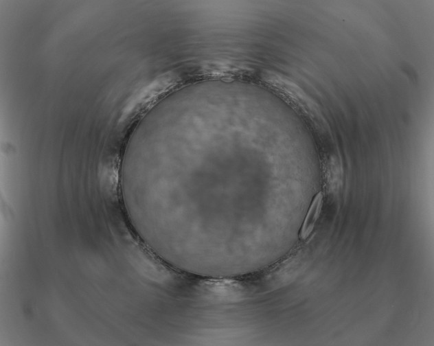 X0000090930427200708061606