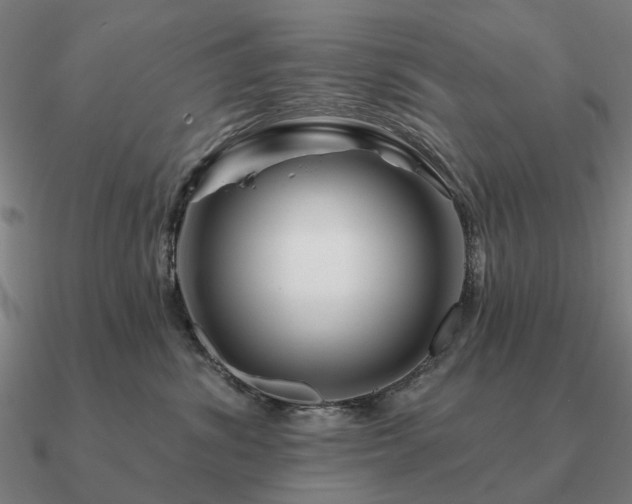 X0000090930428200708061606