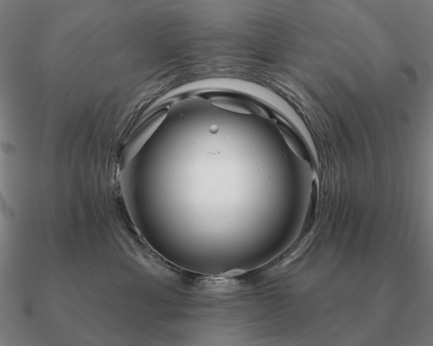 X0000090930429200708061606