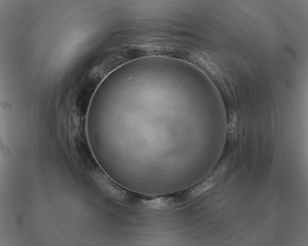 X0000090930430200708061606