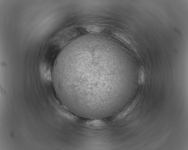 X0000090930431200708061606