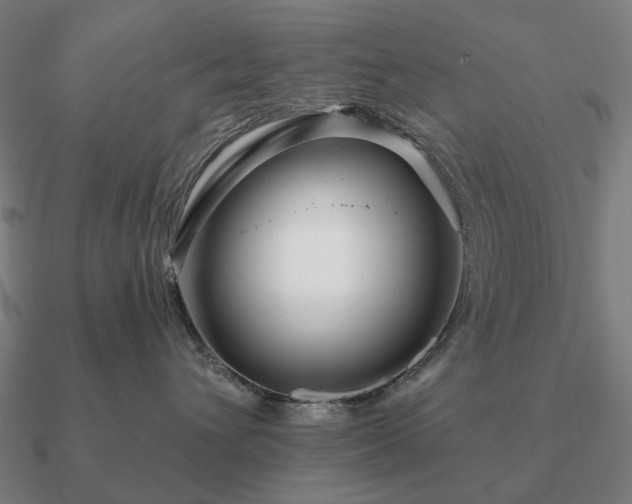 X0000090930432200708061606