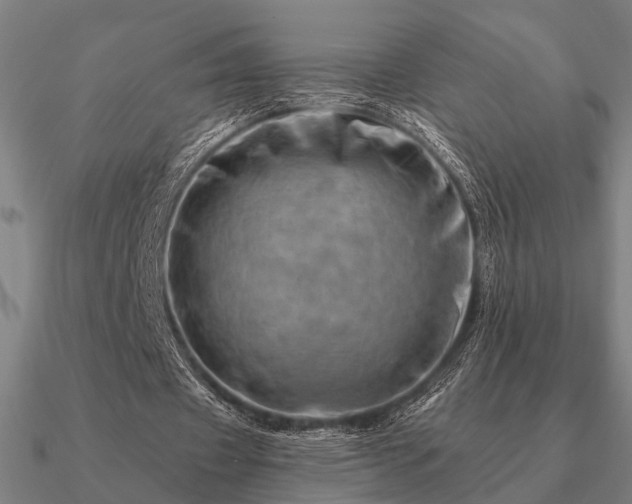 X0000090930433200708061606