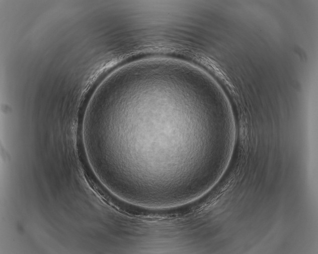 X0000090930434200708061606