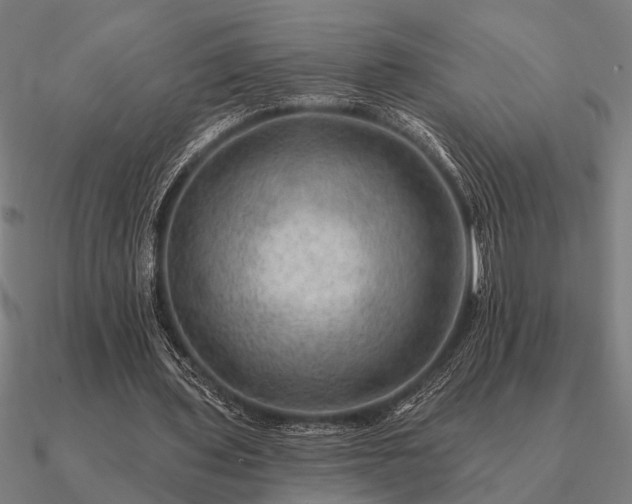 X0000090930435200708061606