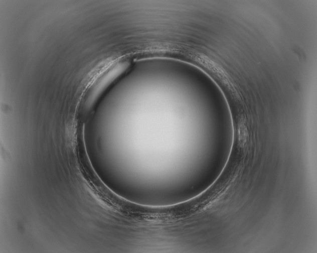 X0000090930436200708061606