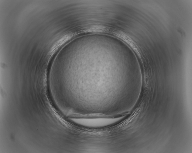 X0000090930437200708061606