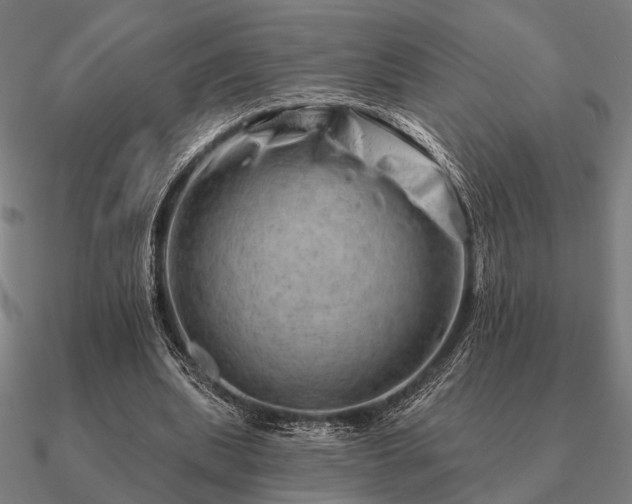 X0000090930439200708061606