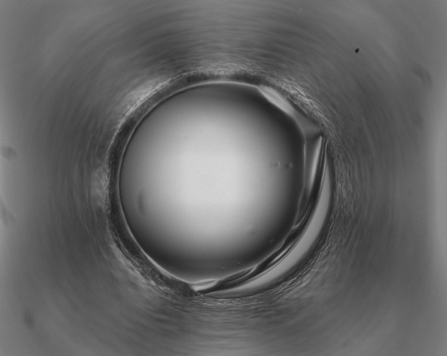 X0000090930440200708061606