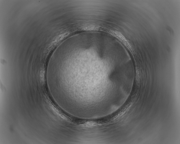 X0000090930441200708061606