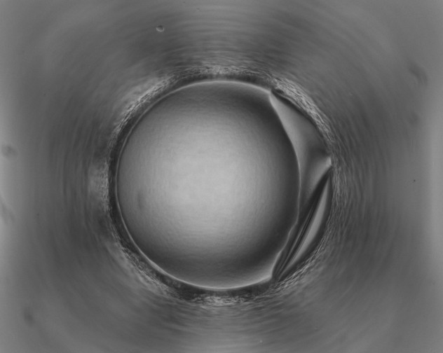 X0000090930442200708061606