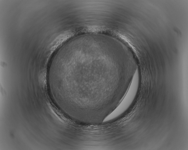 X0000090930443200708061606