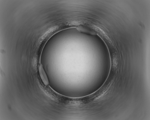 X0000090930444200708061606