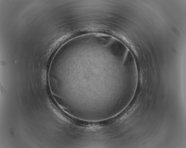 X0000090930445200708061606