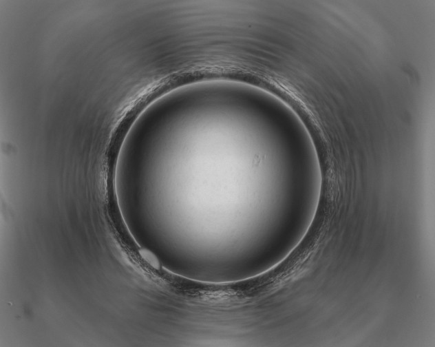 X0000090930446200708061606