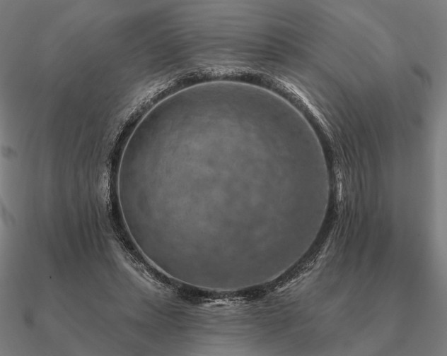 X0000090930447200708061606