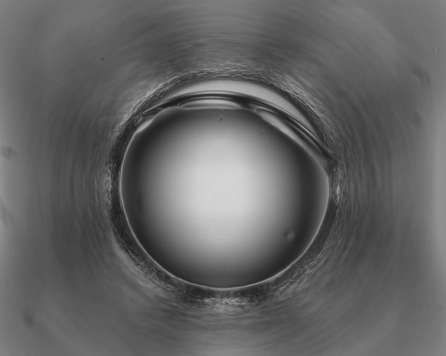 X0000090930448200708061606