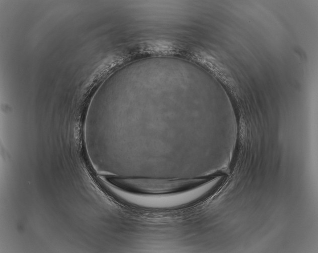 X0000090930449200708061606