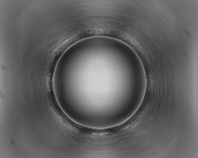 X0000090930450200708061606