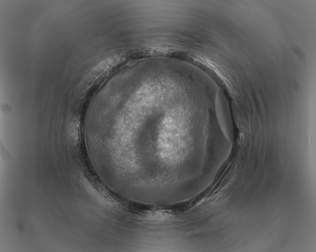 X0000090930451200708061606