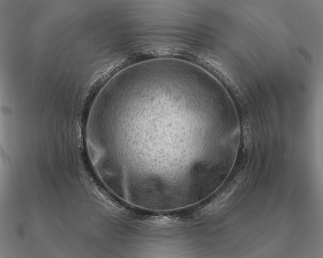 X0000090930453200708061606