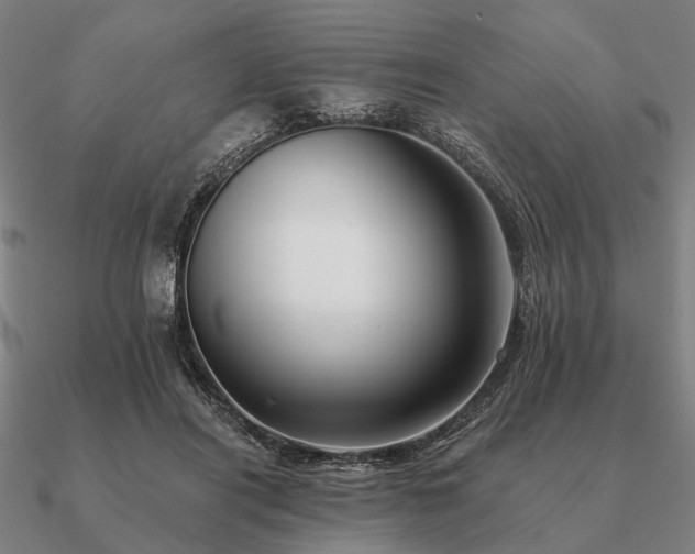 X0000090930454200708061606