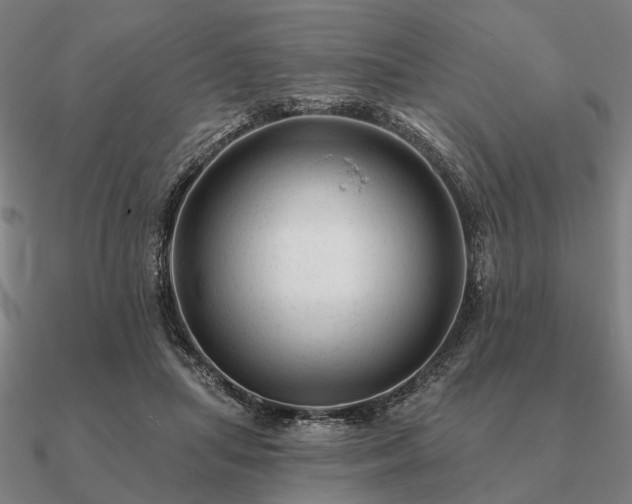 X0000090930455200708061606