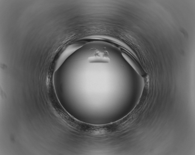 X0000090930456200708061606