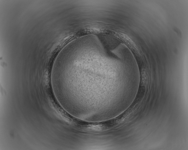 X0000090930457200708061606