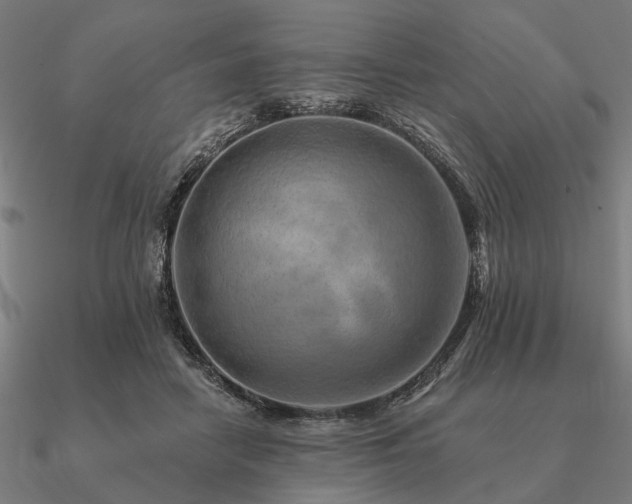 X0000090930458200708061606