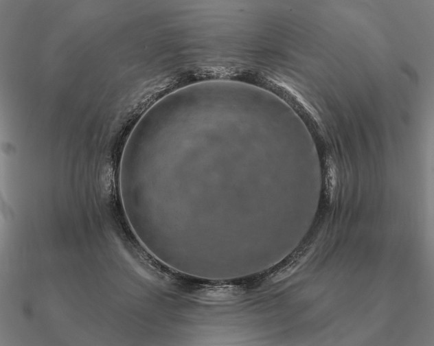 X0000090930459200708061606