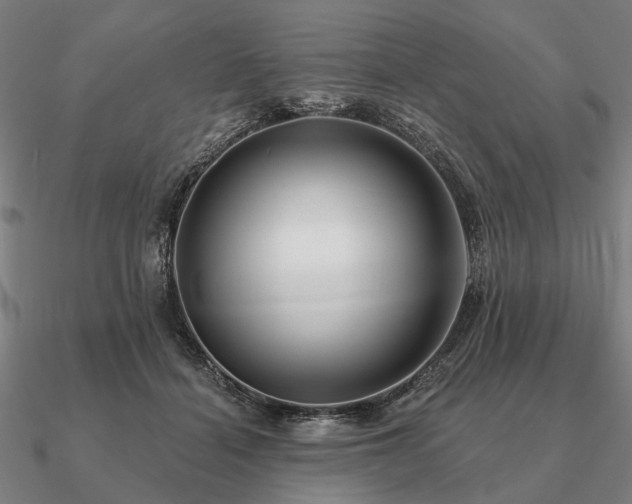 X0000090930460200708061606