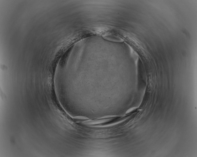 X0000090930461200708061606