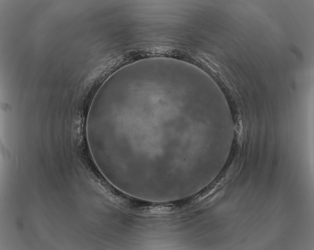 X0000090930462200708061606